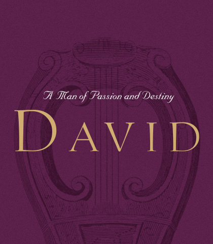 Artwork for David: A Man of Passion and Destiny