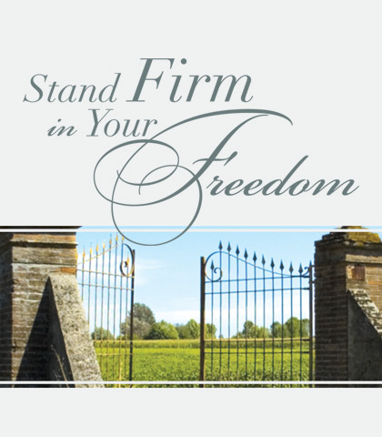 Artwork for Stand Firm in Your Freedom