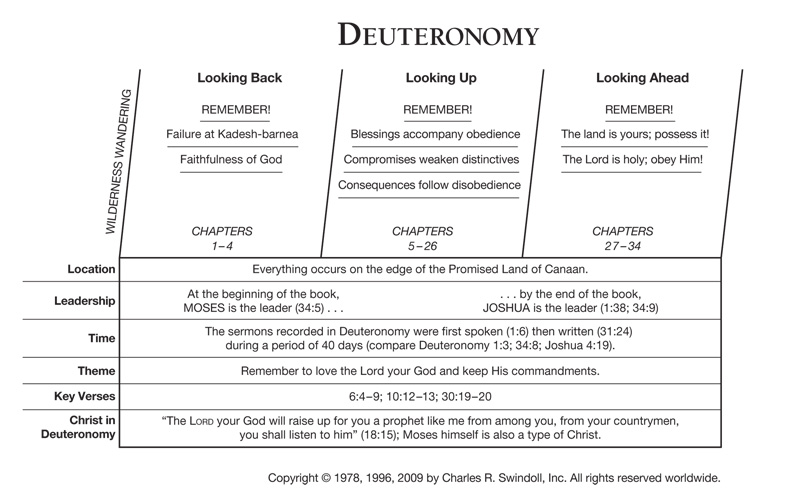 Synthetic Chart Of Leviticus